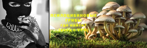 каннабис Гусь-Хрустальный