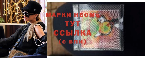 стаф Гусев
