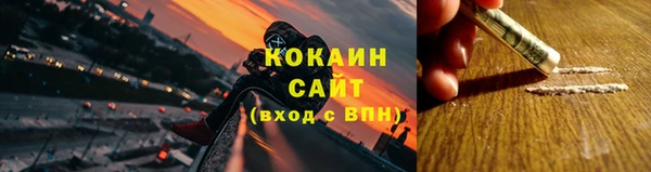 стаф Гусев