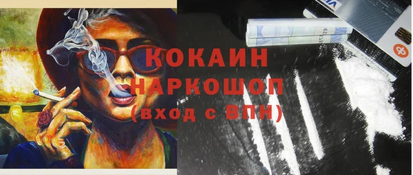 спайс Дмитриев