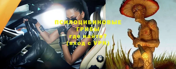 стаф Гусев