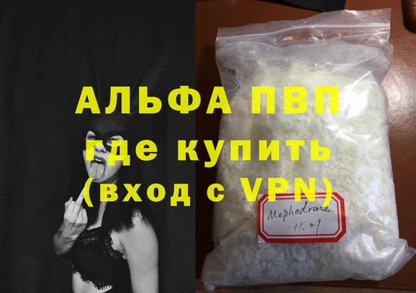 стаф Гусев